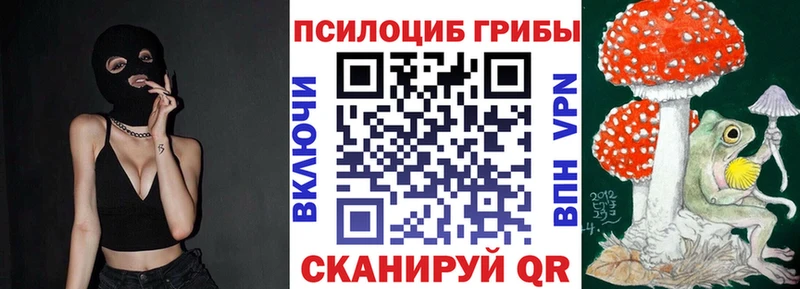 Купить закладки  Судогда  Галлюциногенные грибы Psilocybine cubensis 