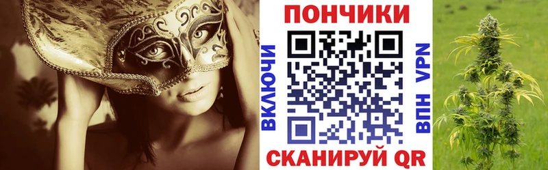 Купить где  Судогда  Шишки марихуана гибрид 